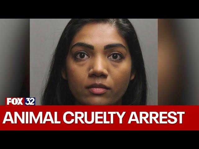 Chicago doctor arrested after dog found starving in storage bin, police say