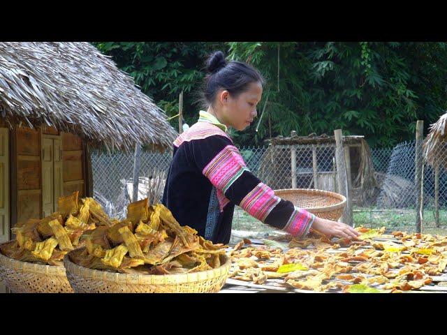 Harvesting & Processing Dried Bamboo Shoots Using Sunlight | 1 Year Living in the Forest