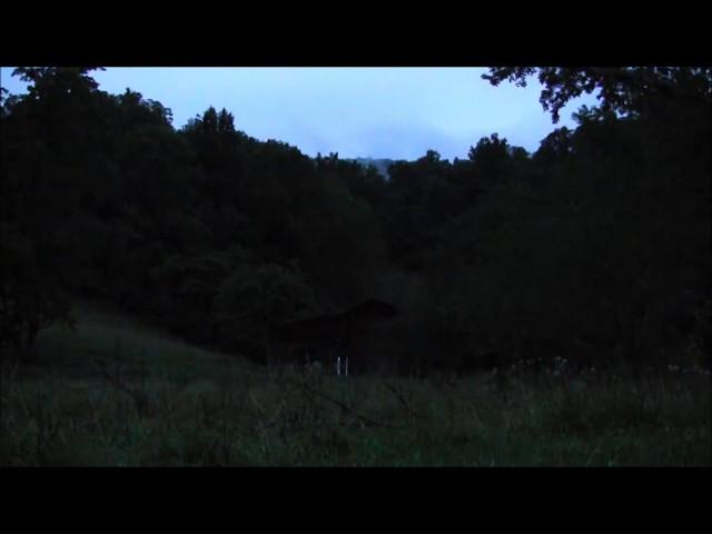 Night Time in the mountains - 10 hours of HD Frogs, Crickets, Cicadas and other insects.