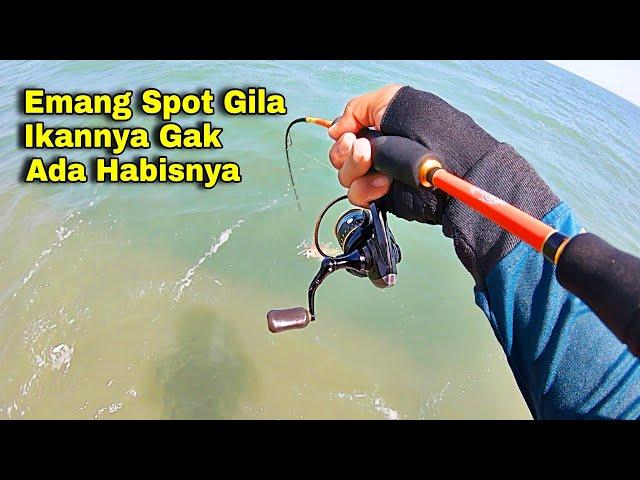 NGERII...‼️Pemancing Pinggiran Pasti Menangis Melihat Spot Ini, Dijamin Jantungan Mancing Disini