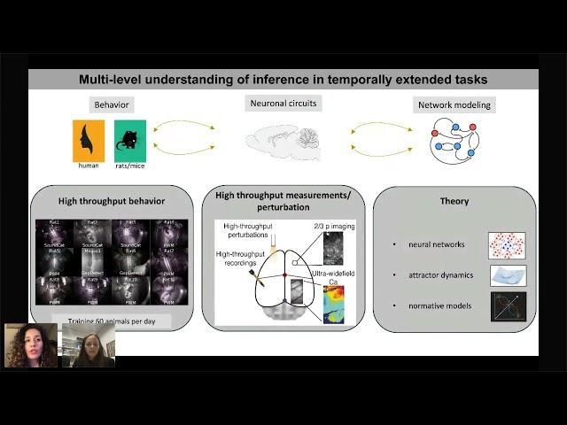 Athena Akrami : Formation and update of sensory priors in working memory and perceptual decisio...