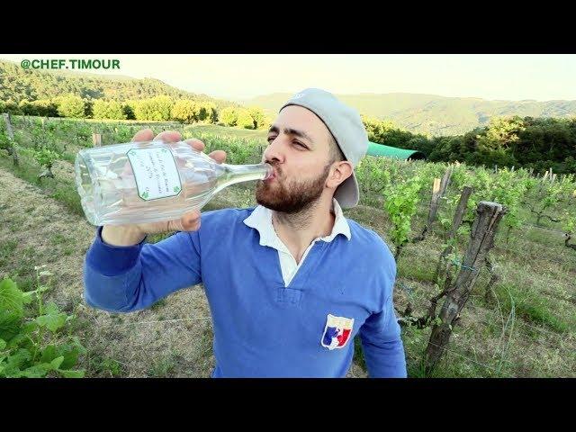 PISCO ES PERUANO, PUNTO! - COMIDA PERUANA