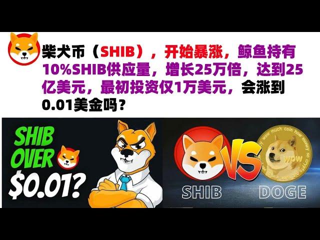 柴犬币（SHIB），开始暴涨，鲸鱼持有10%SHIB供应量，增长25万倍，达到25亿美元，最初投资仅1万美元，会涨到0.01美金吗？shib币|柴犬币|屎币行情分析！