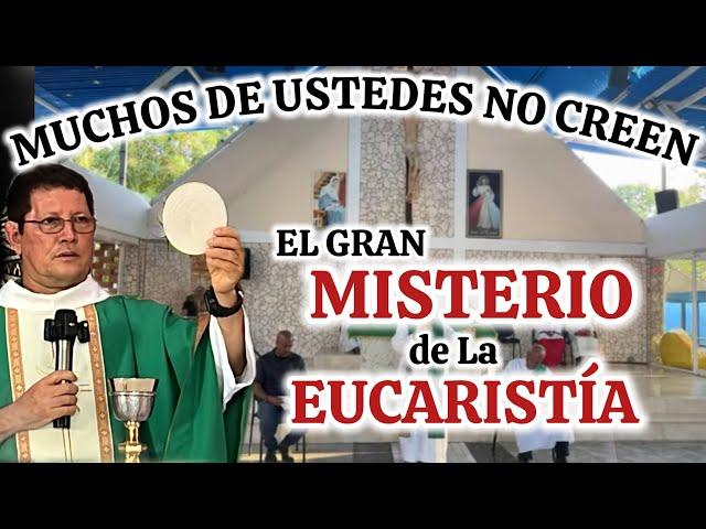 EL ERROR que COMETEMOS En La EUCARISTÍA APUESTO que NO lo SABÍAS Padre Luis Toro /33-2025