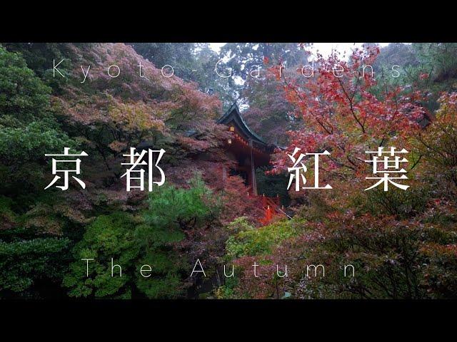 京都 紅葉と庭園 ：Kyoto Autumn Gardens