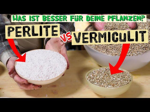 When do you use vermiculite and when do you use perlite? Differences, use and applications in the...