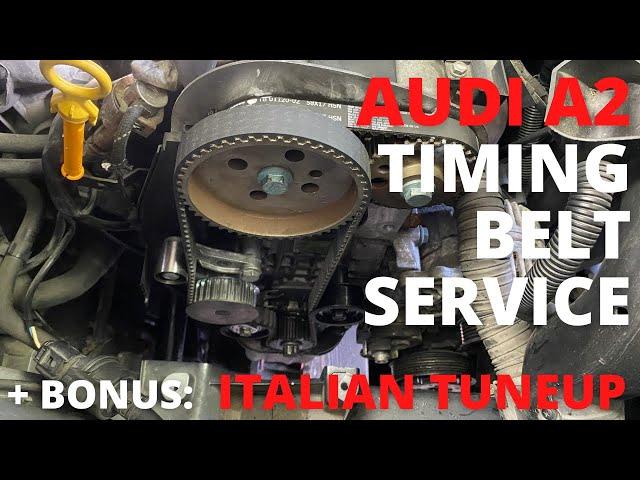 Audi A2 – timing belt, water pump, auxiliary belt with puley replacement – EP29 – project youngtimer