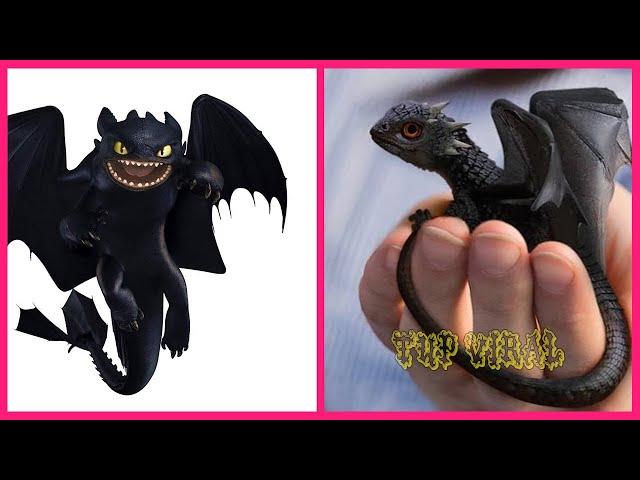How To Train Your Dragon 3 In Real Life  All Characters @TupViral