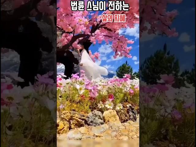 "법륜 스님이 전하는 삶의 지혜: 행복을 찾는 방법"  #법륜스님 #행복찾기 #명언