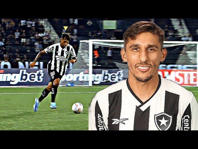 Damián Suárez - Botafogo • Highlights | 2024 | HD