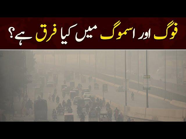 Difference Between Smog and Fog | SAMAA TV