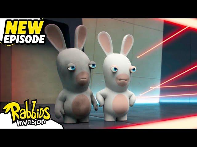 Rabbids in the maze (S04E27) | RABBIDS INVASION | New episodes | Cartoon for Kids