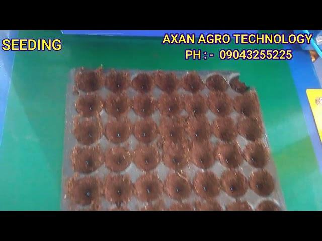 NURSERY SEEDING MACHINE , DRUM SEEDER , AUTOMATIC SEEDING MACHINE , AUTOMATIC SEEDER