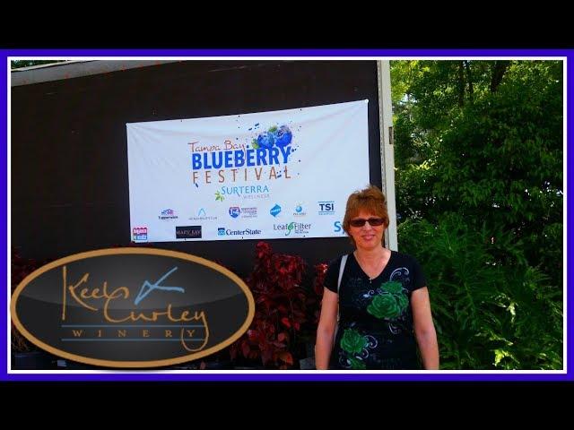 Tampa Bay Blueberry Festival  |  Keel & Curley Winery     