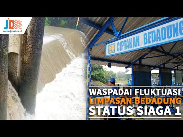Waspadai Fluktuasi Limpasan Bedadung Status Siaga 1 -RADARJEMBER.ID