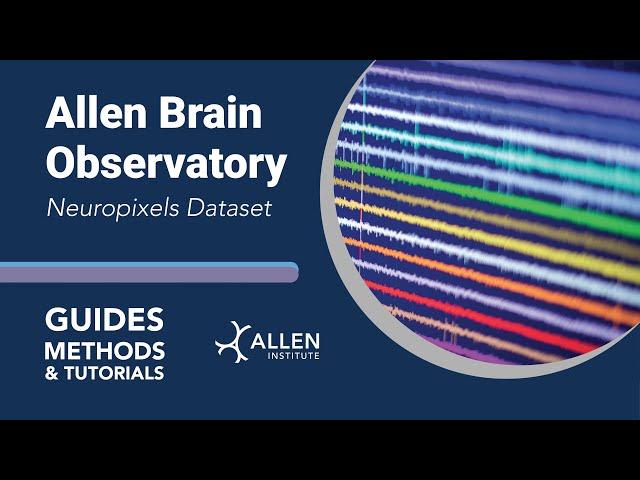Allen Brain Observatory: Neuropixels Dataset | Tutorial