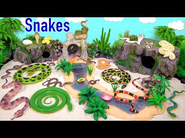 Snakes Serpent Reptile Viper Basilisk Vermin Slithery Nope Ropes Cobra 1