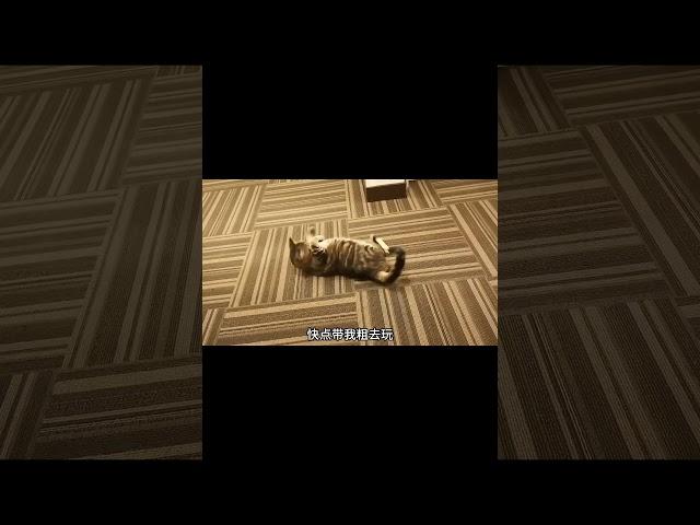 楼道里撒泼打滚 #cat