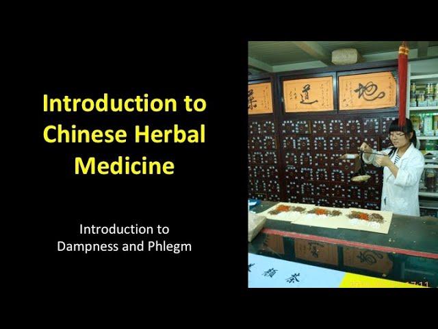 Dampness and Phlegm in Traditional Chinese Medicine