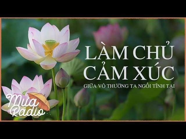 LÀM CHỦ CẢM XÚC - Giữa Vô Thường Ta Ngồi Tĩnh Tại - Mưa Radio