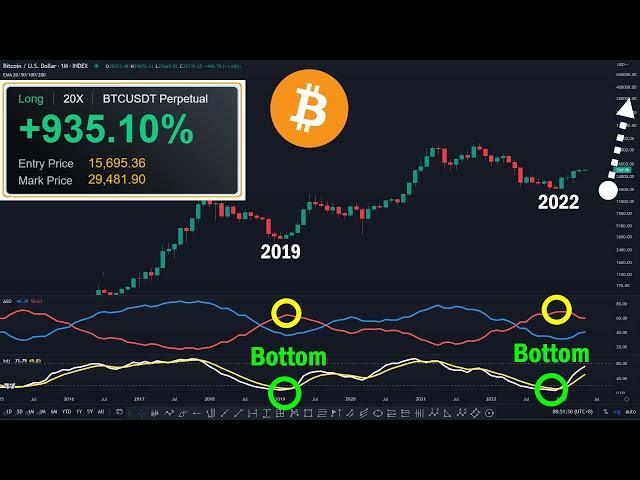 Bitcoin 15K Absolute Bottom? The big bull market of BTC calls family members to count money!