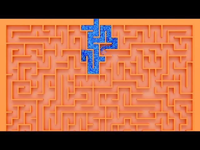 Can 320,000 Blue 4K Beans Solve this Maze?