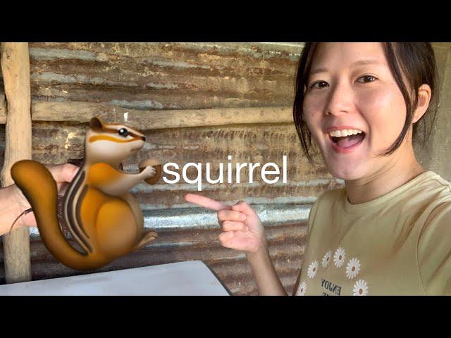 Korean Girl Eats Squirrel in Nagaland | Doyang River Camping