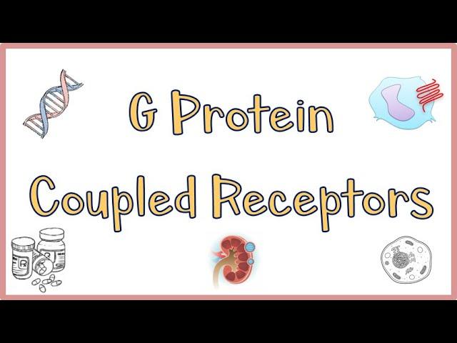 G Protein Coupled Receptors(GPCRs) - Structure, Function, Mechanism of Action. Everything!