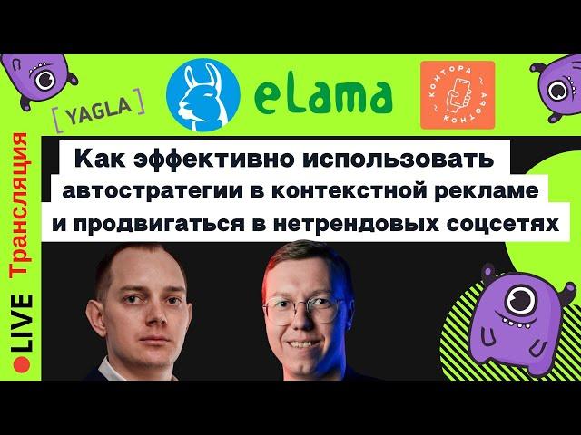 Как эффективно использовать автостратегии в контекстной рекламе, продвигаться в нетрендовых соцсетях