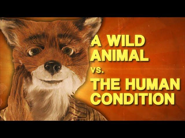 Fantastic Mr. Fox Is a Paradox