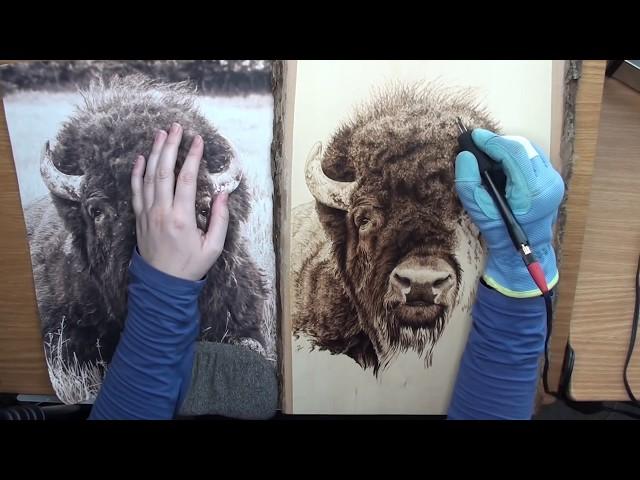 PYROGRAPHY: Wood burning a bison portrait