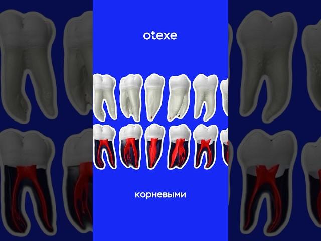 КОРНЕВЫЕ КАНАЛЫ: как с ними работать? #эндодонтия #стоматология #корневыеканалы