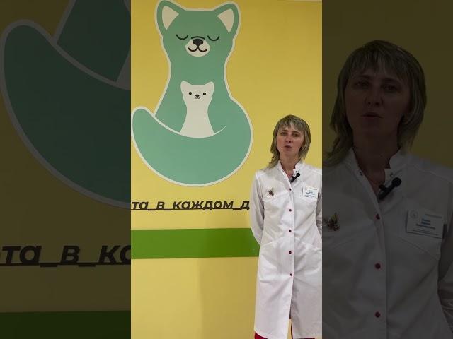 Баева Ирина Анатольевна