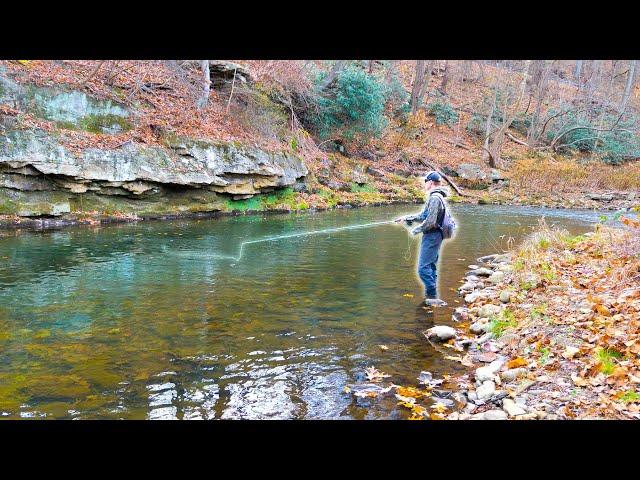 Streamer Fishing for Wild Brown Trout in an AMAZING River!