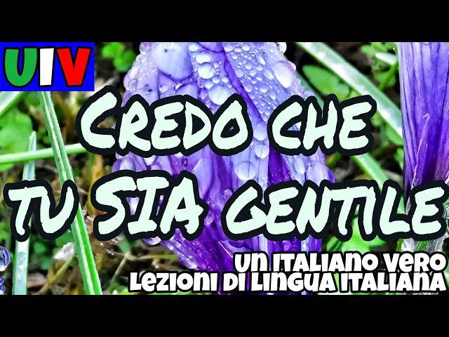 AMMETTERE CHE... | SPERO CHE, PENSO CHE..., CREDO CHE... + CONGIUNTIVO. SEMPRE? | UIV #italiano