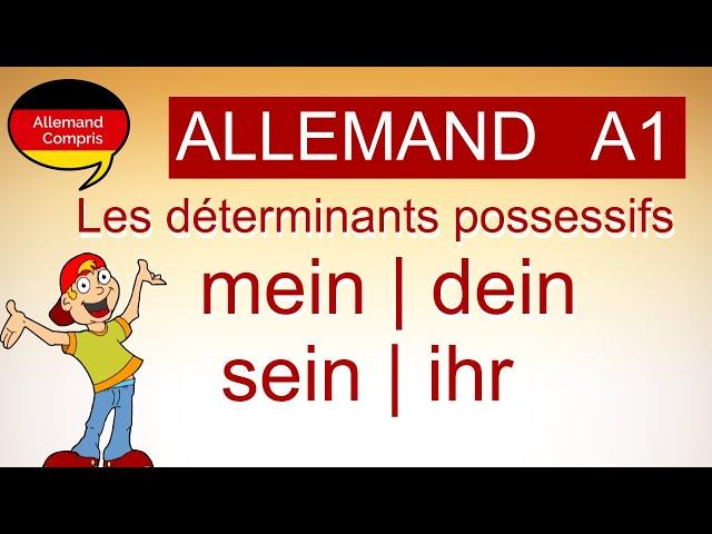   mein , dein, sein | Les déterminants possessifs en allemand