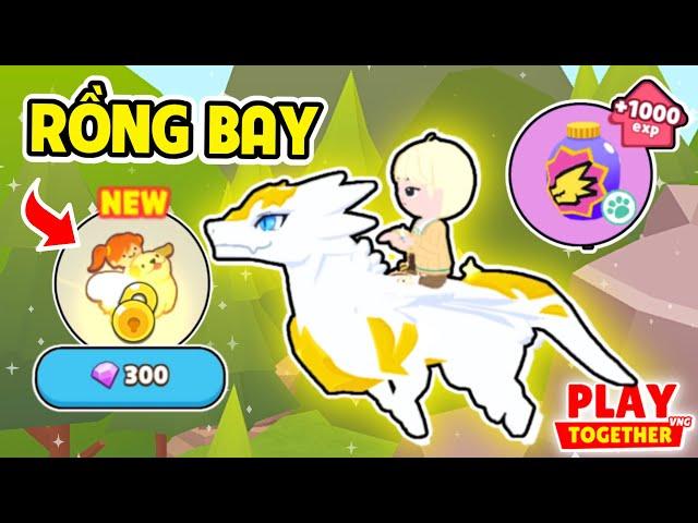 PLAY TOGETHER | CÁCH SỞ HỮU R.ỒNG VÀ MỞ KHÓA CHẾ ĐỘ BAY SIÊU ĐƠN GIẢN