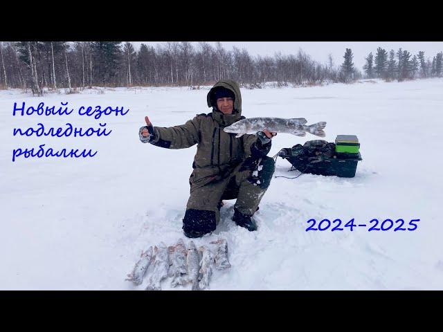 Возвращение на первый лёд 2024-2025! Щука осталась в нашем сердце.  Зимняя рыбалка 2024.