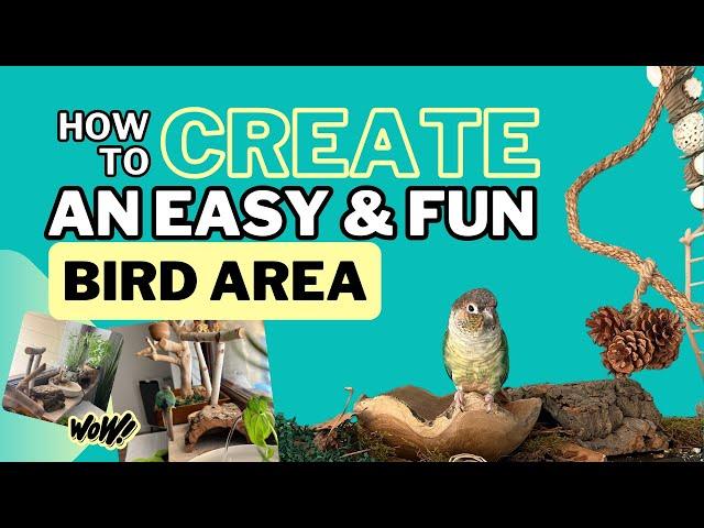 How To Set Up a Bird Area!