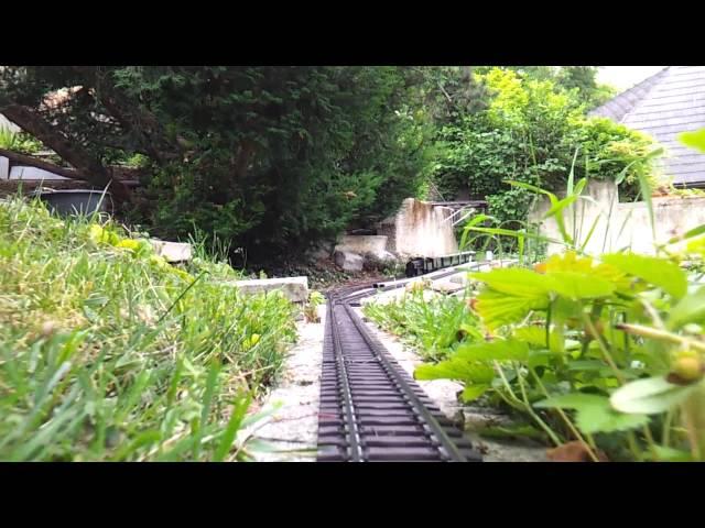 Cabride on my garden train 