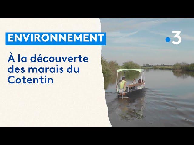 A la découverte des marais du Cotentin