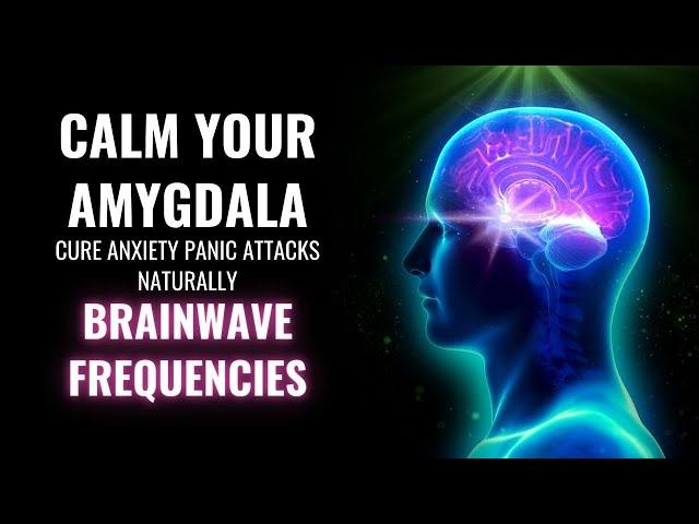 Calm Your Amygdala | Cure Anxiety Panic Attacks Naturally | Brainwave Frequencies | Amygdala Music