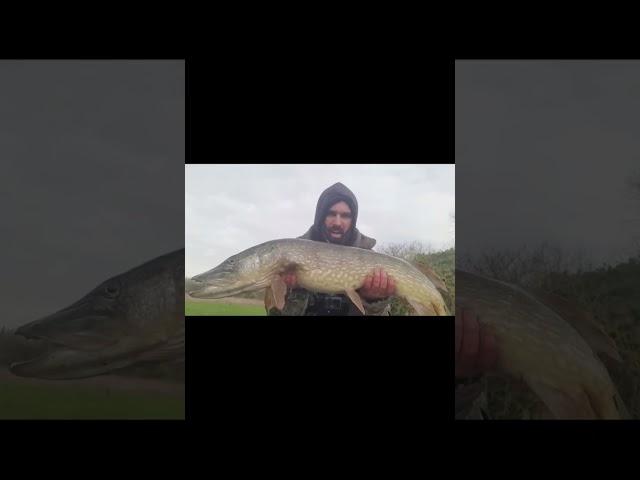 Big Pike - Beast from the East 