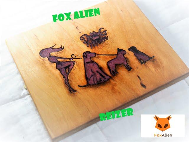 Fox Alien Reizer Laser Engraver