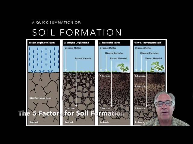 Soil Formation: 5 Soil Factors Part 1