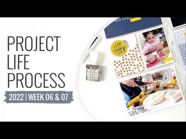 Project Life Process Layout 2022 | Week 06 & 07