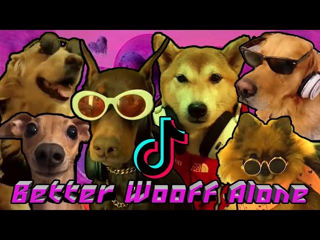 Alice Deejay - Better Wooff Alone - Funny Dogs barking to TikTok song