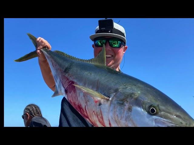 Live Bait Fishing for Yellowfin Tuna, Yellowtail & Dorado