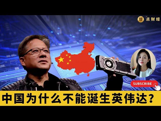 中国为什么不能诞生英伟达？/时事经济（娜点财经20241213）