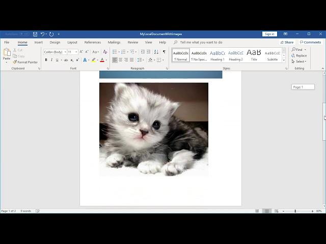 Extracting images from a document using Aspose.Words Cloud API (C#)